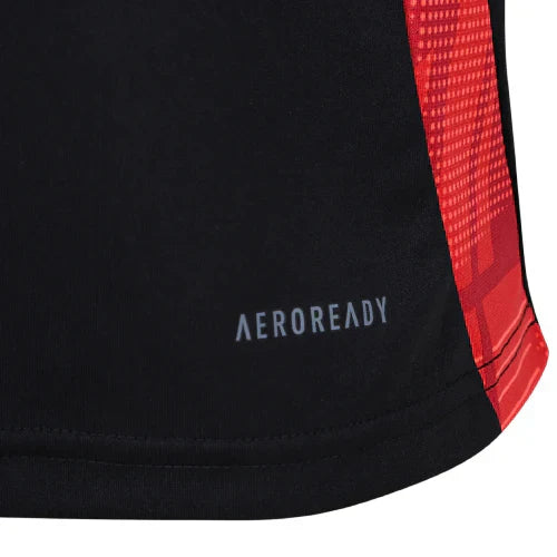 Camiseta Internacional 25/26 Entrenamiento - Negro - Versión Aficionado