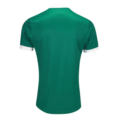 Camiseta Palmeiras 25/26 I de Local - Versión Jugador