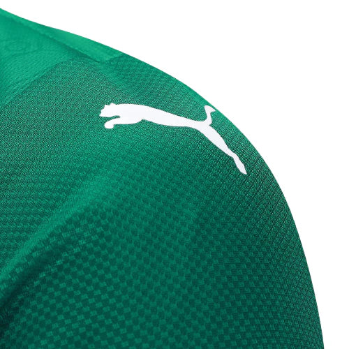 Camiseta Palmeiras 25/26 I de Local - Versión Jugador