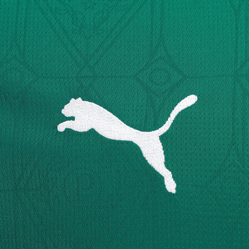 Camiseta Palmeiras 25/26 I de Local - Versión Aficionado