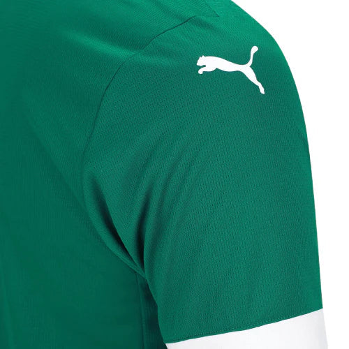 Camiseta Palmeiras 25/26 I de Local - Versión Aficionado
