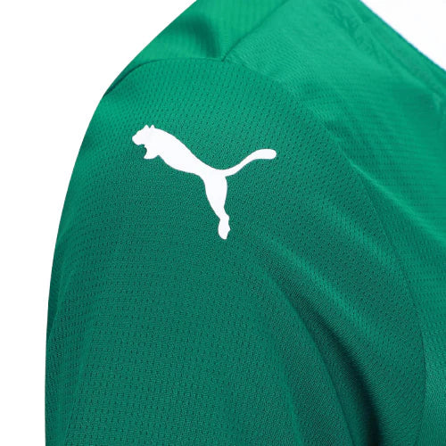 Camiseta Palmeiras 25/26 I de Local - Mujer