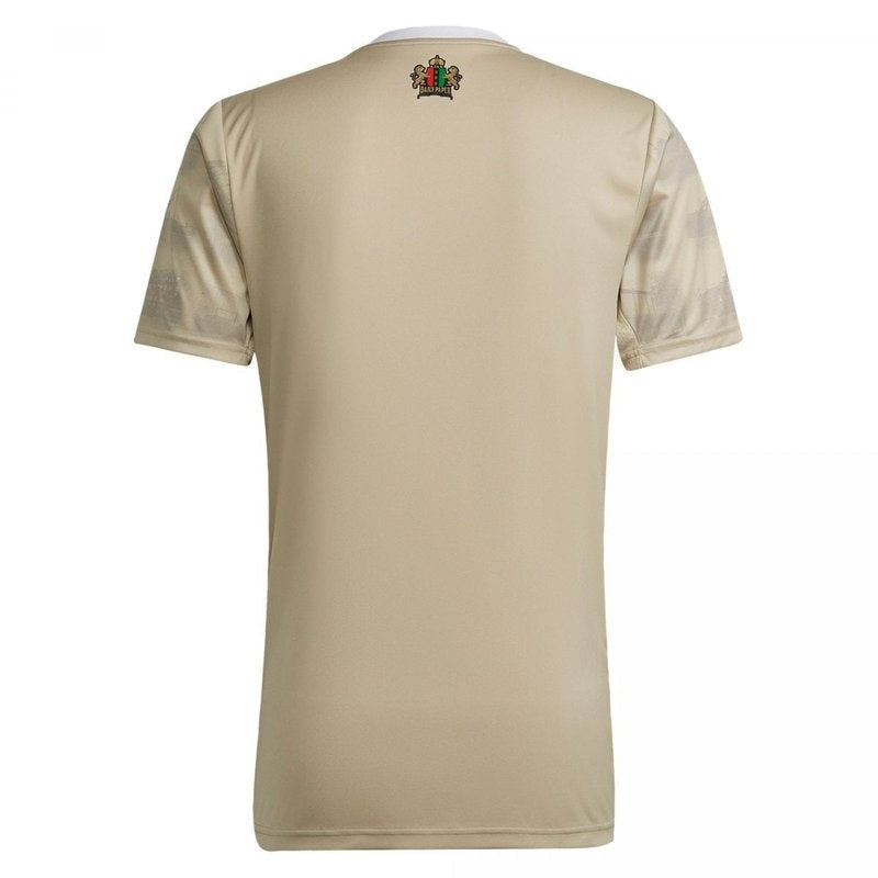 Camiseta Ajax 22/23 III Tercera - Versión Aficionado