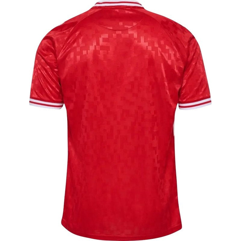 Camiseta Dinamarca 24/25 I de Local - Versión Aficionado