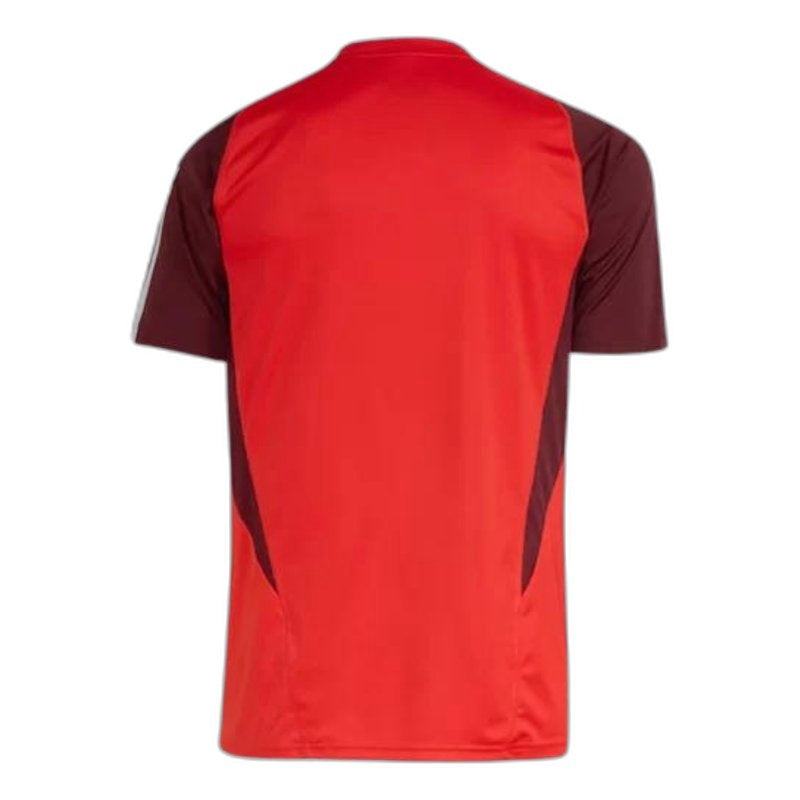 Camiseta Internacional 24/25 Entrenamiento - Versión Aficionado