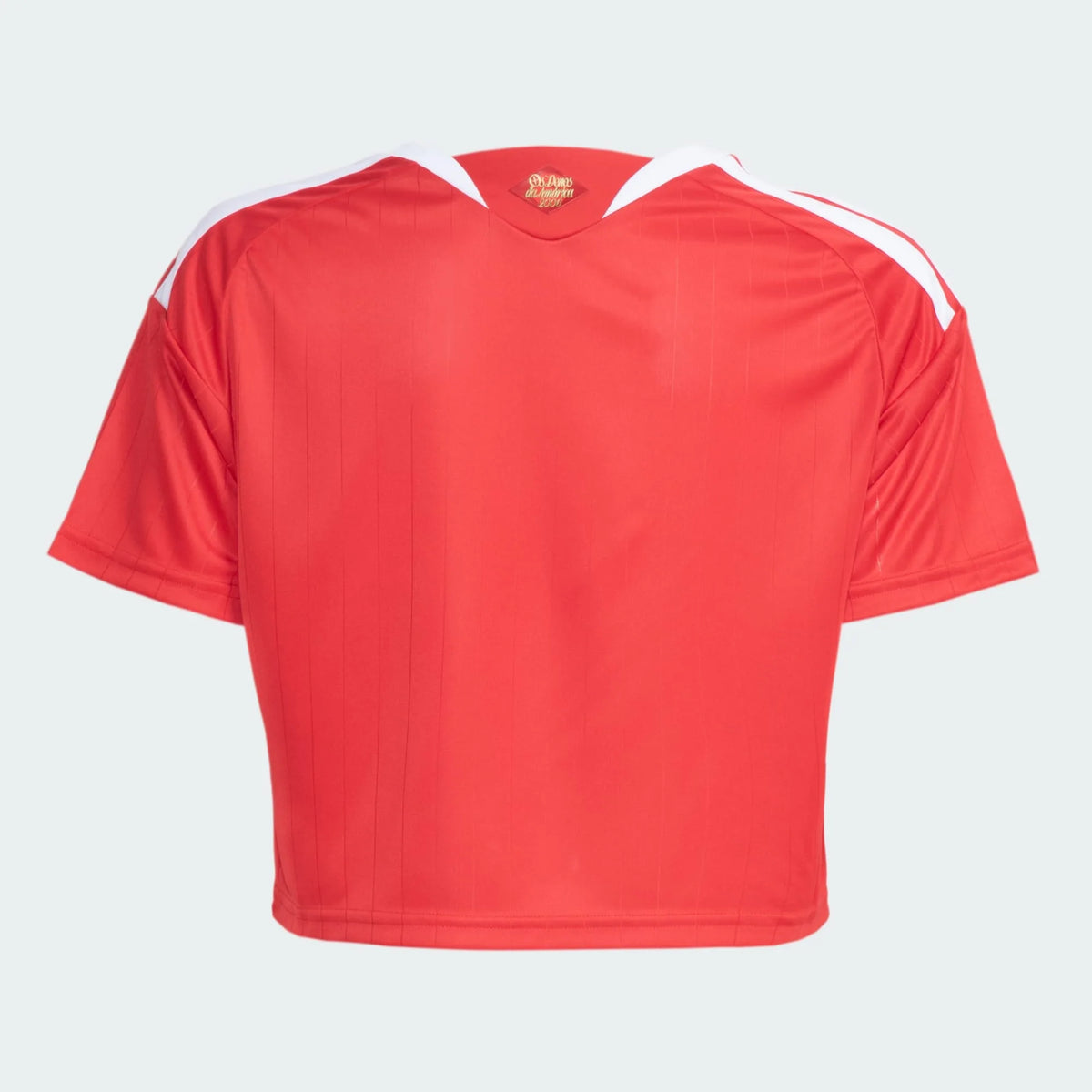 Internacional Local 26/27 Crop Top - Super Golazo Tienda
