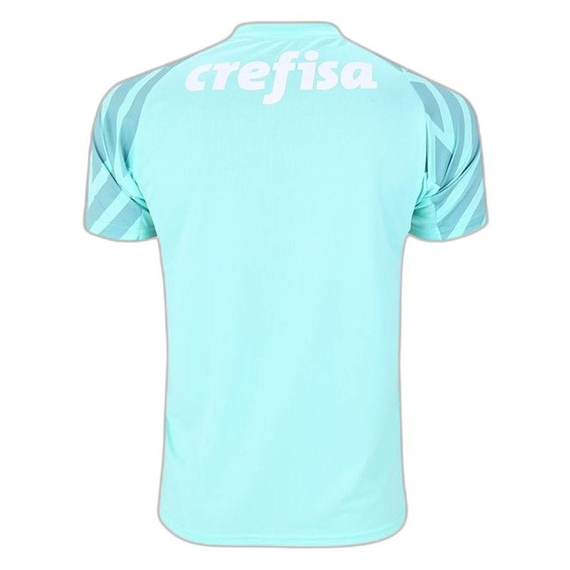 Camiseta Palmeiras 24/25 Portero II de Visitante - Versión Aficionado